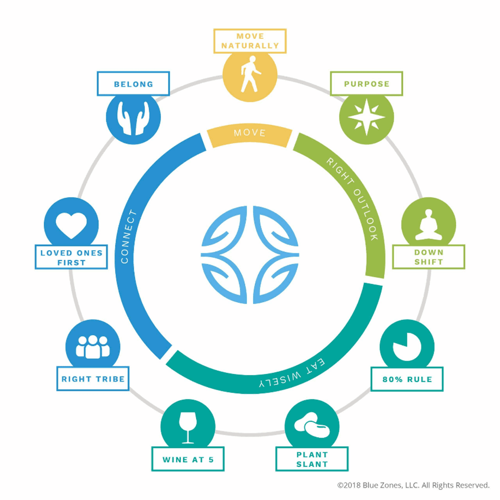 Diagram of the circle of wellbeing, including the fundamentals: movement, right outlook, eating wisely and connections